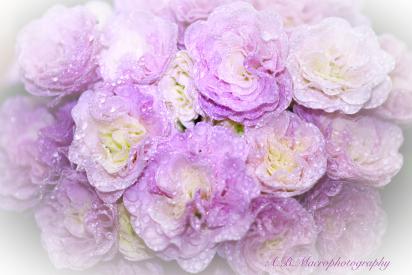 Название: image.jpg
Просмотров: 1410
Размер: 19.8 Кб