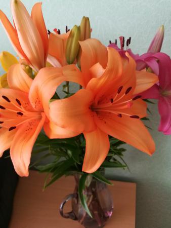 Название: IMG_20170717_111408.jpg
Просмотров: 719
Размер: 21.0 Кб