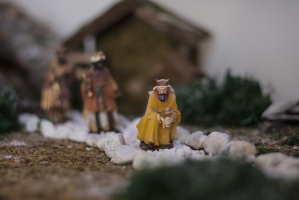 Название: DSC_7007_1.jpg
Просмотров: 1118
Размер: 20.7 Кб