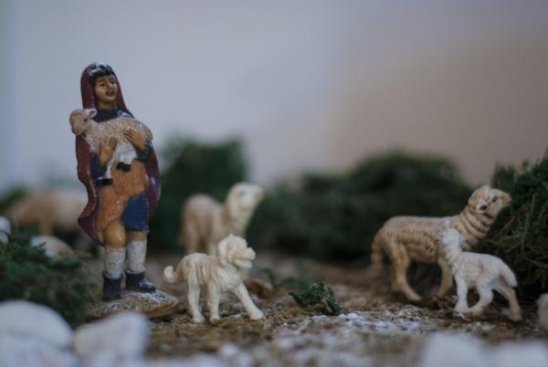 Название: DSC_6996_1.jpg
Просмотров: 945
Размер: 21.8 Кб