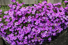 Название: attachment-153.jpg
Просмотров: 870
Размер: 22.4 Кб