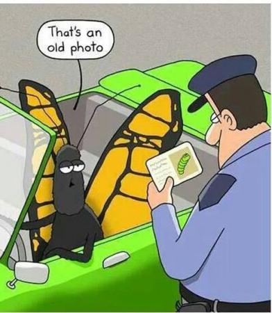 Название: старая фотогр.jpg
Просмотров: 931
Размер: 32.6 Кб