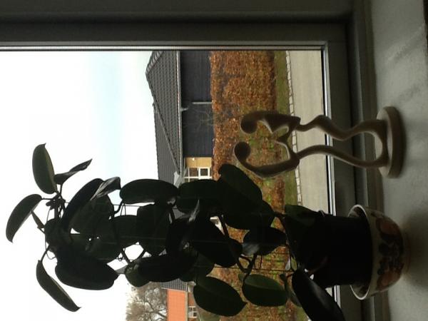 Название: image.jpg
Просмотров: 1063
Размер: 32.6 Кб