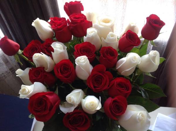 Название: 1391676_525300547546196_1258418003_n.jpg
Просмотров: 883
Размер: 35.0 Кб