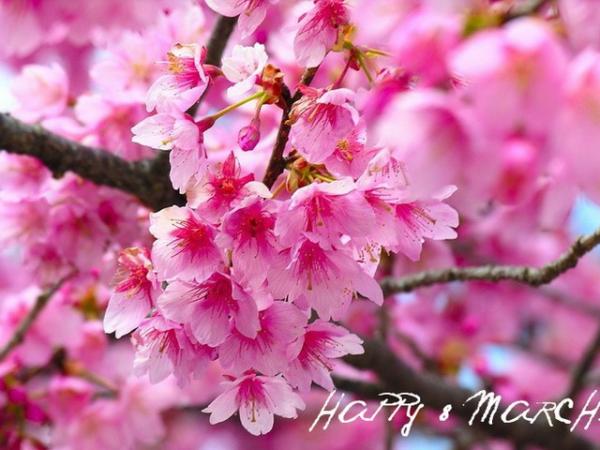 Название: 9ec7f691975041794404a9b02ded8b88_otkritki_k_8_marta_9.jpg
Просмотров: 945
Размер: 44.9 Кб