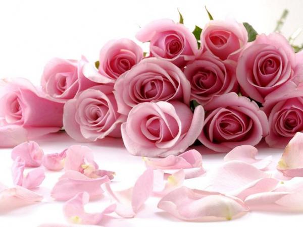 Название: flowers_01.jpg
Просмотров: 613

Размер: 34.6 Кб