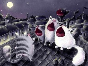 Название: getImage-21.jpg
Просмотров: 1217
Размер: 20.1 Кб