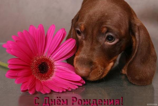 Название: 10516707_696863270406695_4248144513584330539_n.jpg
Просмотров: 680

Размер: 31.0 Кб