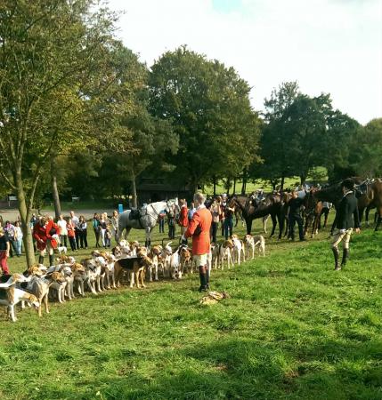 Название: Schleppjagd.jpg
Просмотров: 3185
Размер: 54.2 Кб