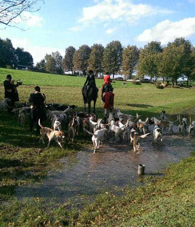 Название: Schleppjagd2.jpg
Просмотров: 3794
Размер: 47.5 Кб