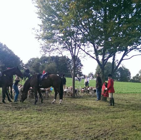 Название: Schleppjagd3.jpg
Просмотров: 3788
Размер: 55.7 Кб