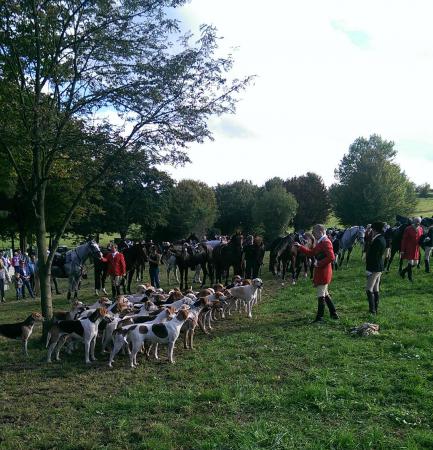 Название: Schleppjagd5.jpg
Просмотров: 2980
Размер: 52.2 Кб