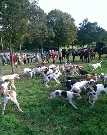 Название: Schleppjagd7.jpg
Просмотров: 3131
Размер: 45.9 Кб