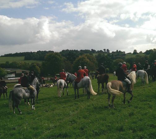 Название: Schleppjagd9.jpg
Просмотров: 3787
Размер: 32.5 Кб