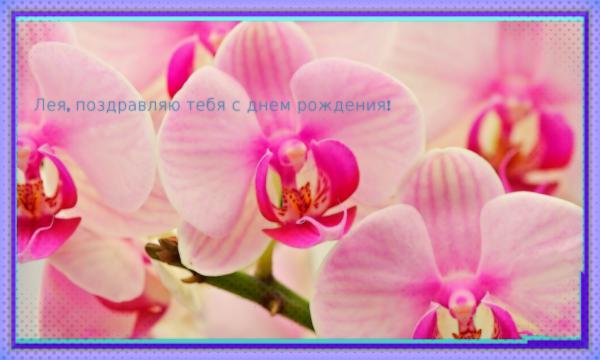 Название: leyia den rozhd.jpg
Просмотров: 1419
Размер: 30.0 Кб