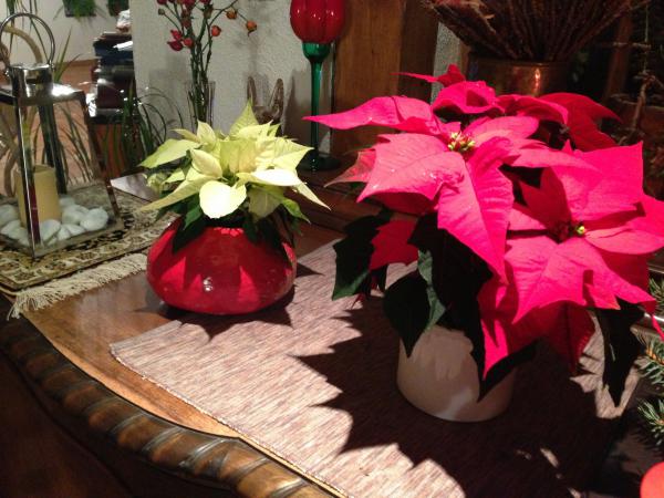 Название: image.jpg
Просмотров: 854
Размер: 49.7 Кб