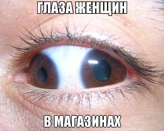 Название: 5e5oIK65tl0.jpg
Просмотров: 1208
Размер: 61.6 Кб