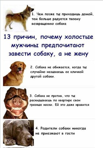 Название: 0_3ef65_cc068885_L.jpg
Просмотров: 2204
Размер: 42.6 Кб