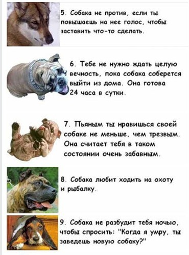 Название: 0_3ef66_cb705a3f_L.jpg
Просмотров: 1568
Размер: 50.9 Кб