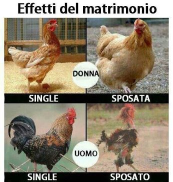 Название: Effetti_di_matrimonio.jpg
Просмотров: 1688

Размер: 37.2 Кб