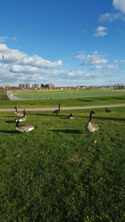 Название: 20151025_163015_resized.jpg
Просмотров: 1290
Размер: 23.8 Кб