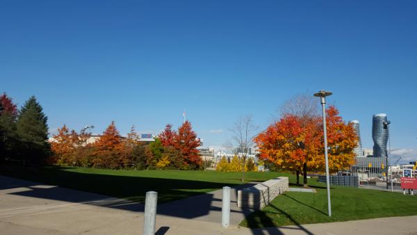 Название: 20151026_144504_resized.jpg
Просмотров: 1133
Размер: 24.8 Кб