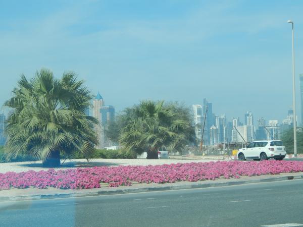 Название: DSCN0466.jpg
Просмотров: 12172
Размер: 35.9 Кб