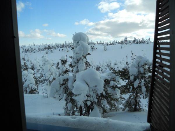 Название: 1e_pSRSoA5I.jpg
Просмотров: 587
Размер: 37.1 Кб