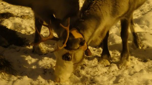 Название: 8xx7H_OoiB0.jpg
Просмотров: 578
Размер: 29.2 Кб