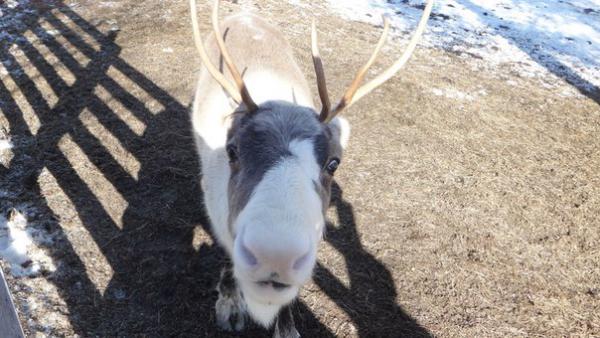 Название: x_502c9163.jpg
Просмотров: 561
Размер: 47.0 Кб