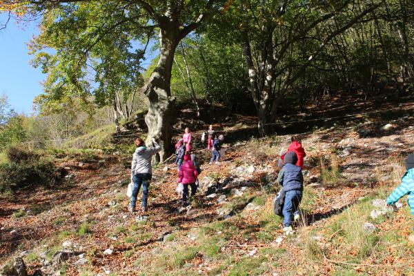 Название: IMG_0979.jpg
Просмотров: 756
Размер: 85.7 Кб