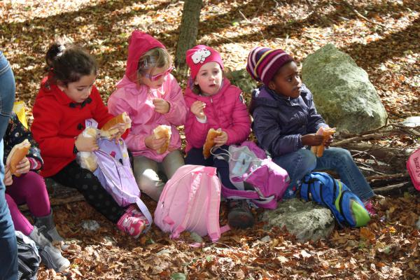 Название: IMG_0986.jpg
Просмотров: 745
Размер: 69.4 Кб