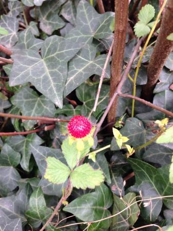 Название: image.jpg
Просмотров: 515
Размер: 36.5 Кб