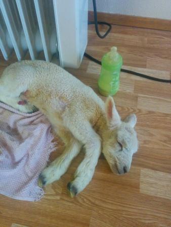 Название: image.jpg
Просмотров: 414
Размер: 22.9 Кб