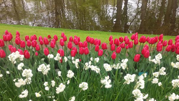 Название: 20160428_133228.jpg
Просмотров: 911
Размер: 57.5 Кб