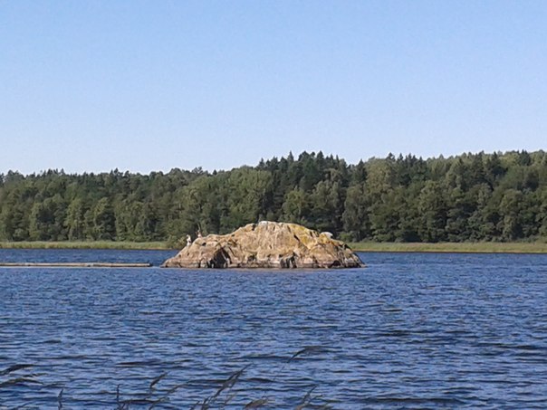 Название: wdfGF.jpg
Просмотров: 968
Размер: 62.4 Кб