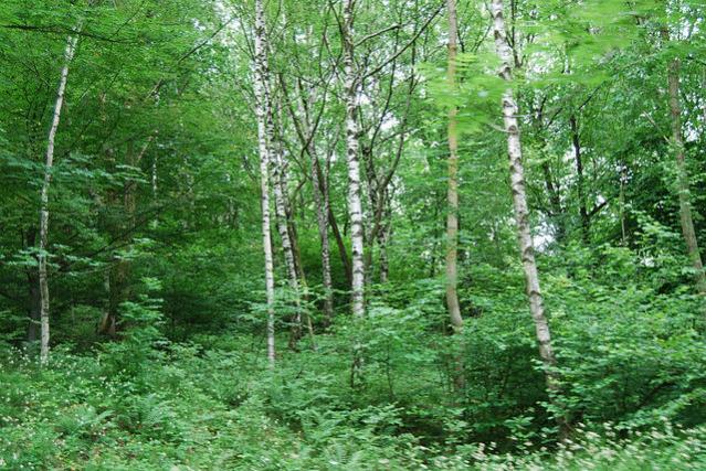 Название: 03.jpg
Просмотров: 2167
Размер: 84.7 Кб