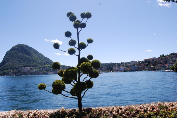 Название: 07.jpg
Просмотров: 2192
Размер: 80.9 Кб