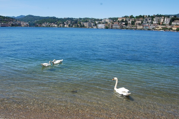 Название: 08.jpg
Просмотров: 2186
Размер: 96.0 Кб