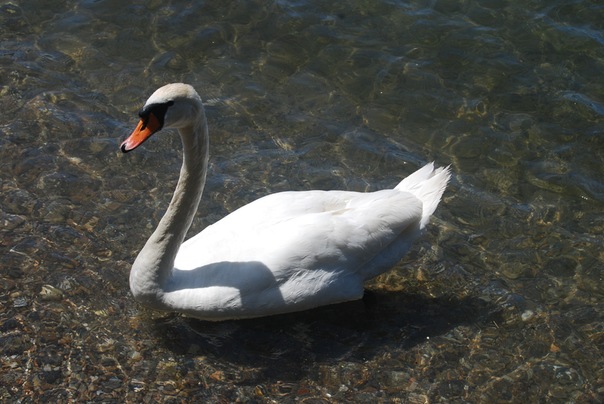 Название: 09.jpg
Просмотров: 2220
Размер: 84.2 Кб