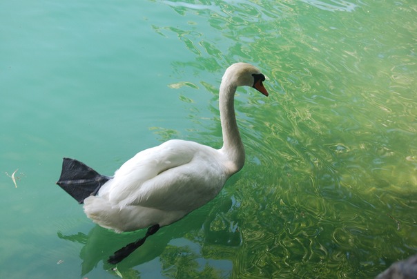 Название: 06.jpg
Просмотров: 2183
Размер: 63.5 Кб