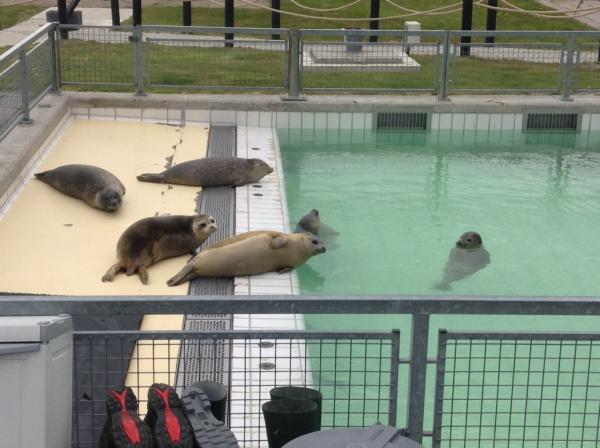 Название: IMG_0352.jpg
Просмотров: 1557
Размер: 43.5 Кб