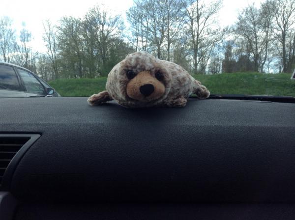 Название: IMG_0367.jpg
Просмотров: 1511
Размер: 38.7 Кб