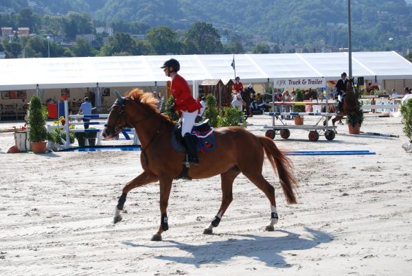 Название: DSC_4323.jpg
Просмотров: 1647
Размер: 53.1 Кб