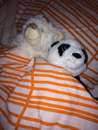 Название: altAu9DxGaqewXPAhB0AcPPL3tqdROOXY9mg8cGdrzVsgC_.jpg
Просмотров: 1245
Размер: 28.4 Кб