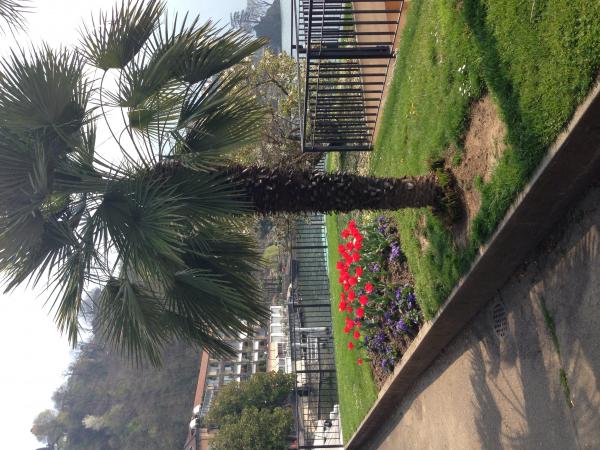 Название: image.jpg
Просмотров: 1705
Размер: 62.9 Кб