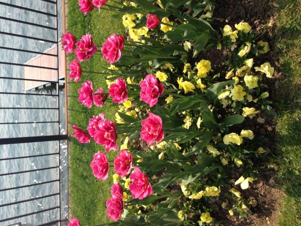 Название: image.jpg
Просмотров: 1682
Размер: 76.6 Кб