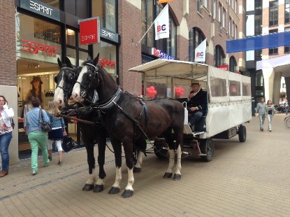 Название: IMG_0724.jpg
Просмотров: 1093
Размер: 66.9 Кб