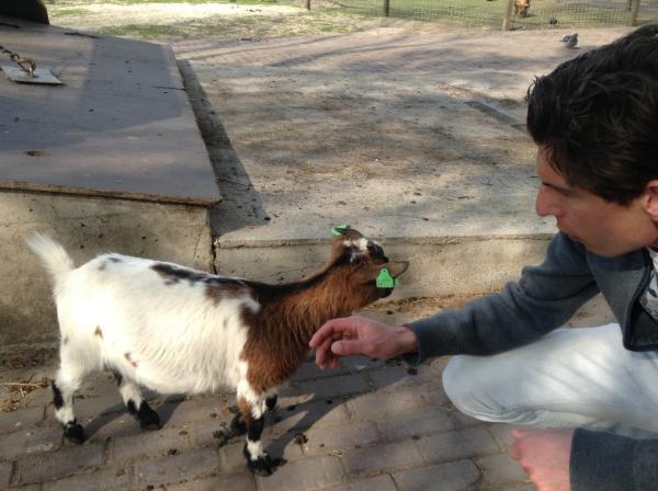 Название: IMG_0780.jpg
Просмотров: 1028
Размер: 41.7 Кб