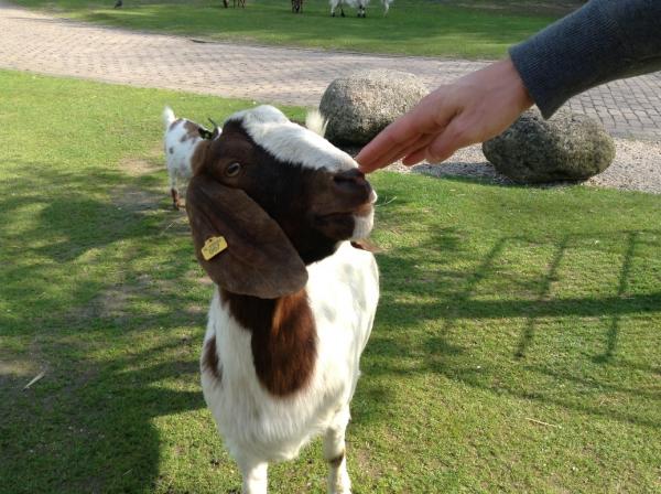 Название: IMG_0822.jpg
Просмотров: 1079
Размер: 54.0 Кб